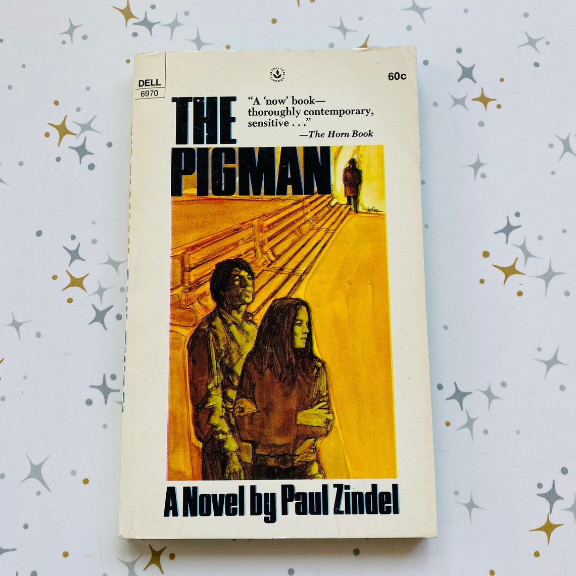 The Pigman by Paul Zindel 1971 Vintage Book Vintage Teen Etsy