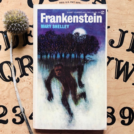 Frankenstein By Mary Wollstonecraft Shelley 1965 Vintage Book Horror Paperback Book - 