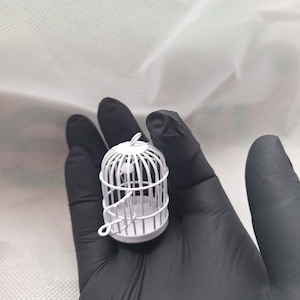 May include: A small, white, decorative birdcage with a round base and vertical bars. The cage has a hinged door and a small loop at the top for hanging. The cage is held in a gloved hand.