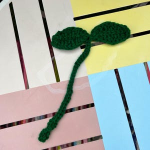 Leaf sprout