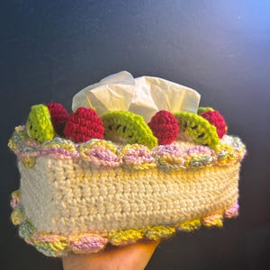 Puede incluir: Una funda para caja de pañuelos de tejido de ganchillo con forma de pastel con decoraciones de kiwi verde y frambuesas rojas. La funda para caja de pañuelos es blanca con un borde rosa, amarillo y verde.