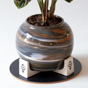 May include: A potted Calathea plant with dark green and white striped leaves sits in a round, marbled ceramic pot. The pot rests on a black coaster with white supports. The supports have a symbol on them.