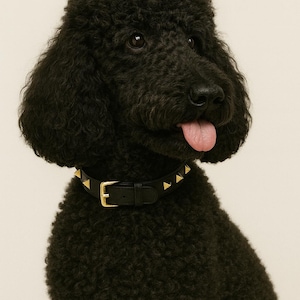 ROCKSTUD Leather LUXURY Dog Collar