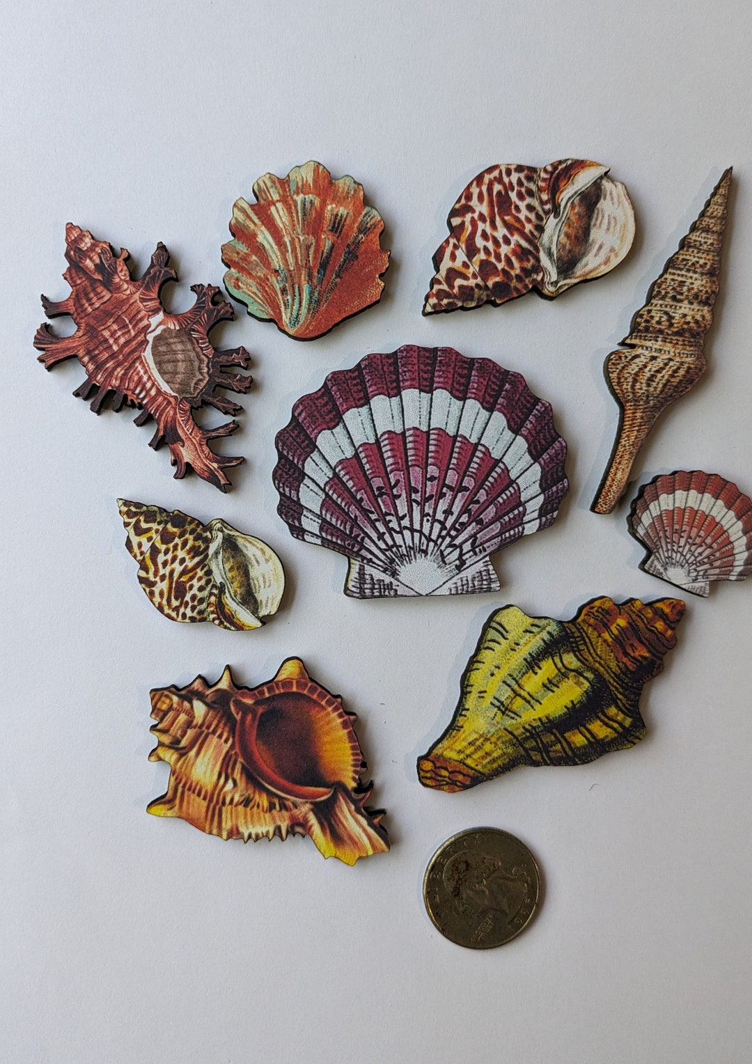 Shell Woodcut Jewelry Blanks Art Supplies - Etsy
