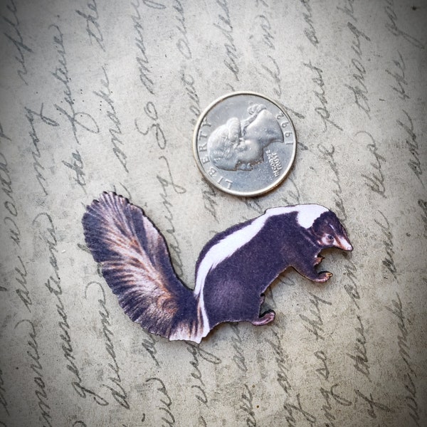 Skunk Art Brooch