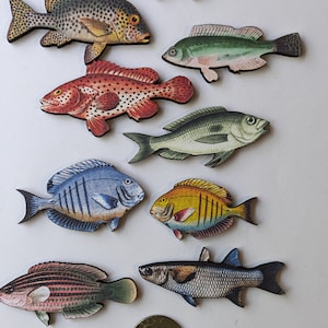 May include: A collection of wooden fish cutouts in various colors and patterns, including red, blue, yellow, and green. The fish are arranged on a white surface, with a quarter coin for size comparison. The fish designs are detailed and vintage-inspired.