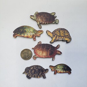 Turtle Wood Cut Shapes Art Craft Supplies DIY