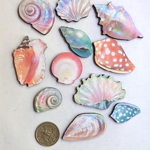 May include: A collection of colorful seashell-shaped wooden cutouts. The shells feature various designs and colors, including pink, blue, orange, and green. A US quarter is included for size reference. The shells are arranged on a white surface.