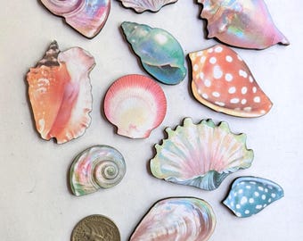 Pastel Shell Woodcut  Jewelry Blanks Art Supplies