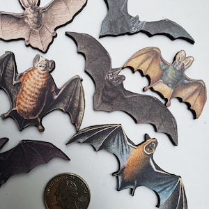 Vampire Bats Woodcut  Supplies