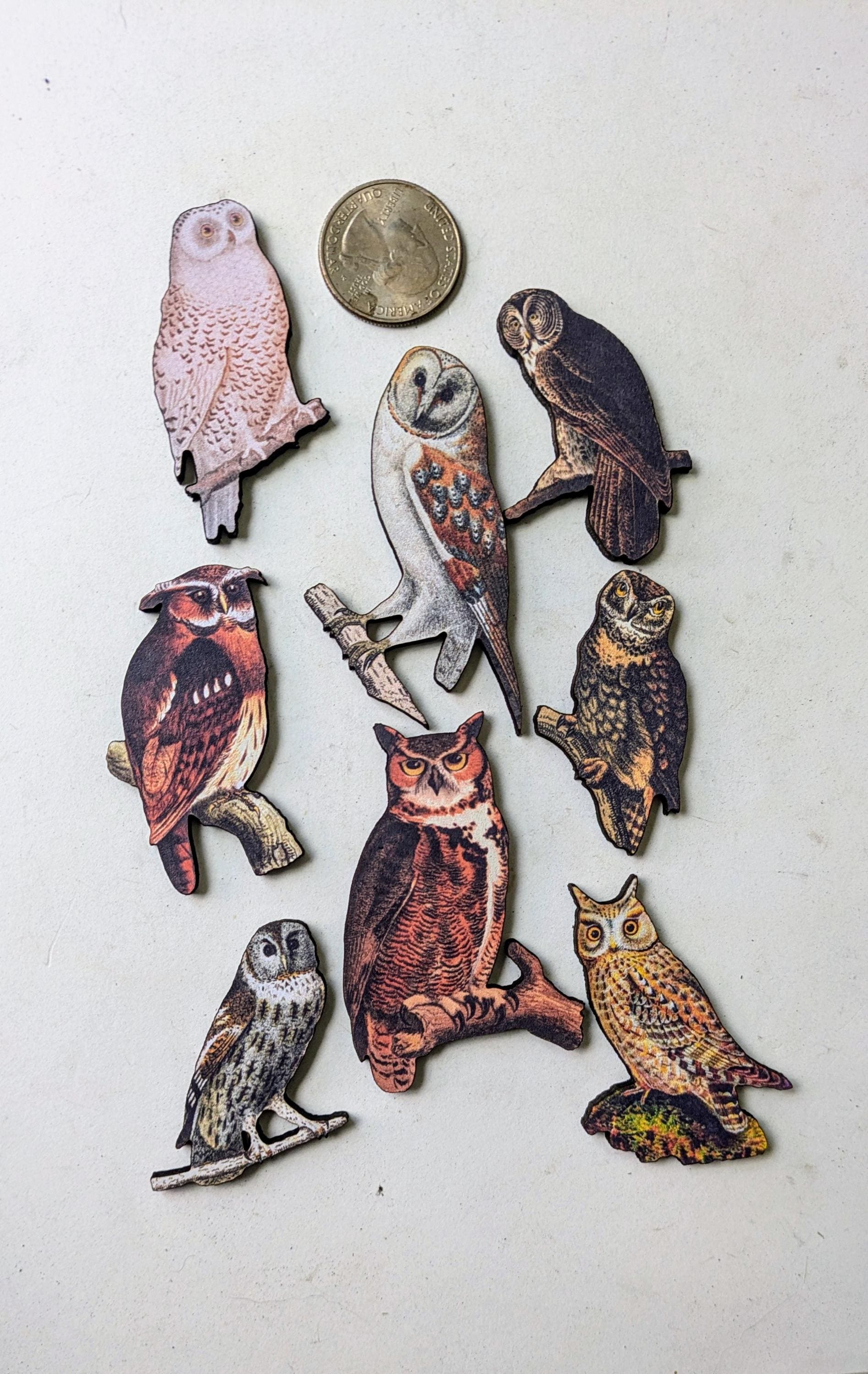 Owl Woodcut  Jewelry Blanks Art Supplies