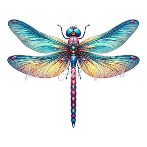 May include: A colorful dragonfly with blue, yellow, and pink wings. The dragonfly's body is adorned with intricate details and a series of beads.