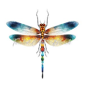 May include: A colorful dragonfly with blue, orange, and yellow wings. The dragonfly's body is red and black.