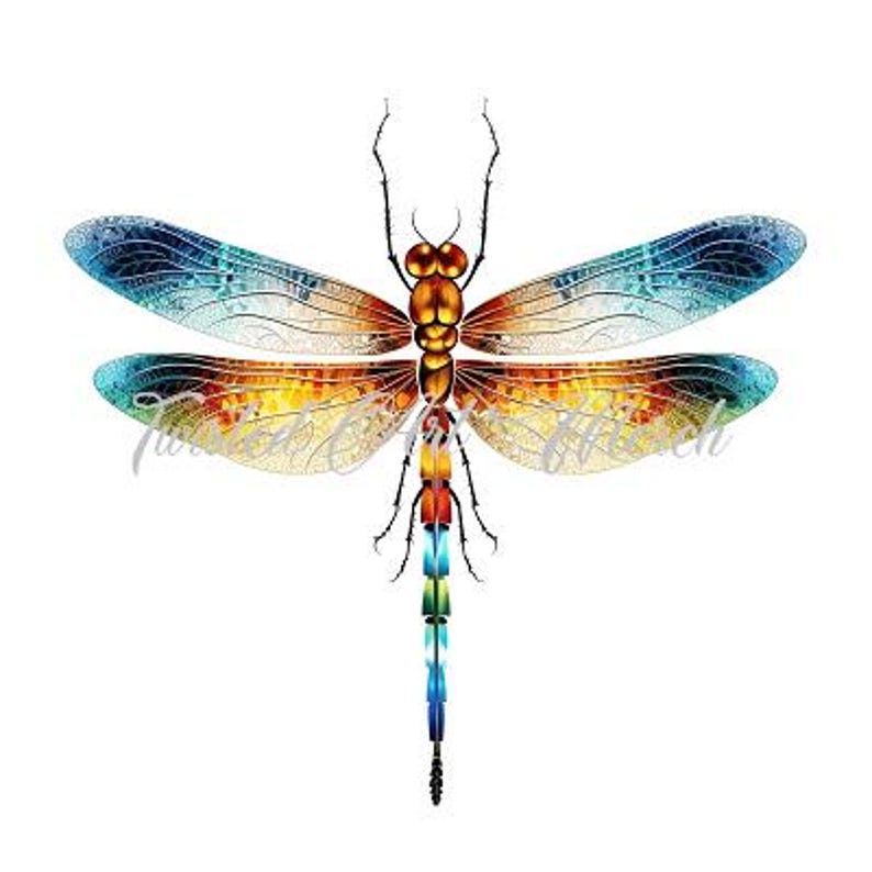 May include: A colorful dragonfly with blue, orange, and yellow wings. The dragonfly's body is red and black.
