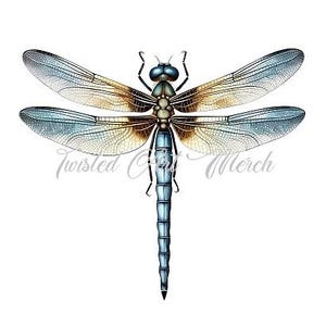 May include: A blue and yellow dragonfly with intricate wing patterns. The dragonfly is in flight with its wings spread wide.