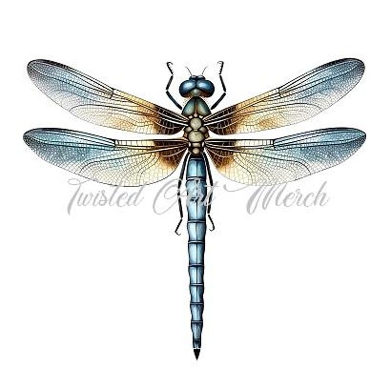 May include: A blue and yellow dragonfly with intricate wing patterns. The dragonfly is in flight with its wings spread wide.