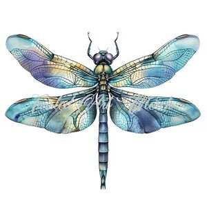 May include: A blue and green dragonfly with intricate wing patterns. The dragonfly is depicted in a watercolor style with delicate details.