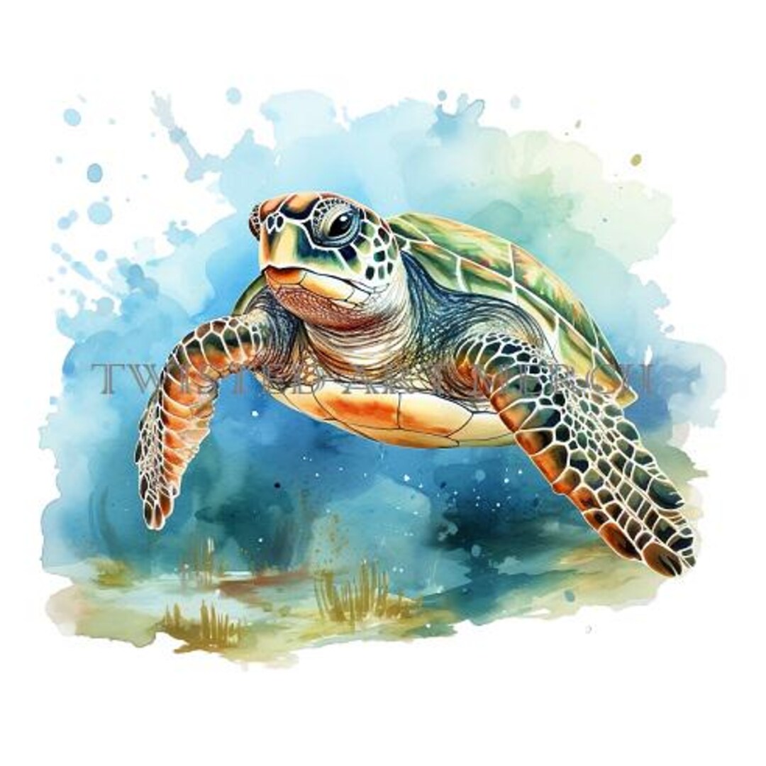 Watercolor Sea Turtle PNG: Vibrant Ocean Digital Art (set of 5 Digital ...