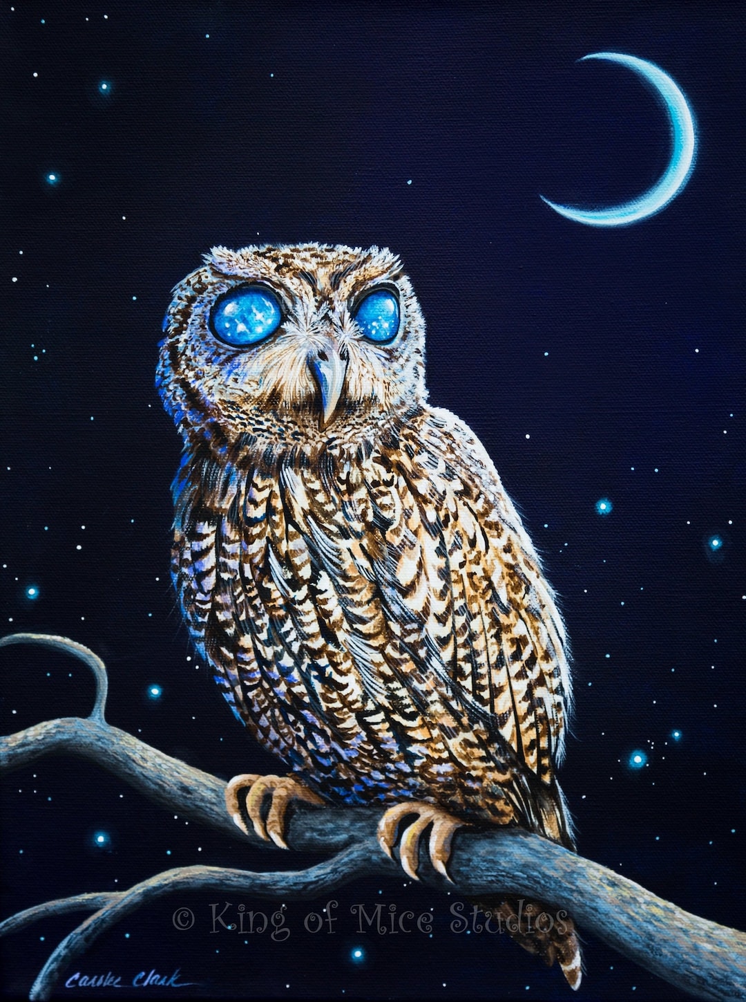 Wisdom - 9x 12 Print of Zeus the Blind Owl, Original Acrylic