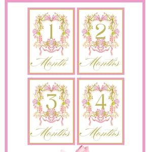 Cartes jalons bébé fille, écusson floral rose aquarelle, jalons mensuels fille, cadeau baby shower, nouveau-né, cartes mois