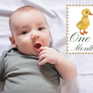 FICHIER NUMÉRIQUE Cartes d'étapes importantes pour bébés de la ferme