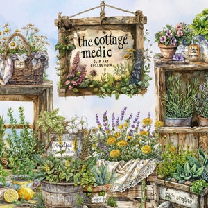 Cottagecore Medicinal Herbs Clip Art - 300dpi PNGs - Botanical Plants & Flowers - Digital Download