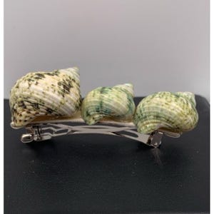 May include: A hair clip featuring three natural seashells arranged in a row. The shells are cream-colored with mottled green and brown patterns. The clip itself is made of polished silver-tone metal with a standard spring-loaded clasp mechanism.