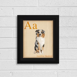 Australian Shepherd Gift, Portrait Artwork Custom Dog Portrait, Dog Painting Print Pet Wall Decor, Kid's Room Art, ABC flash cards