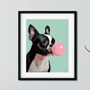 Boston terrier gift, boston terrier art print Boston Terrier gum, Boston terrier bubble, Boston terrier blowing bubble art, Boston terrier