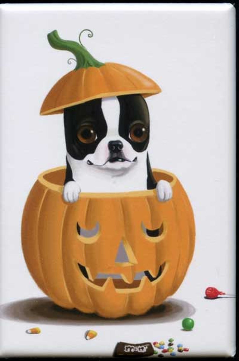 Boston terrier gift magnet, Boston Terrier Pumpkin Halloween dog art magnet, fun boston terrier art, dog lover, halloween gift image 1