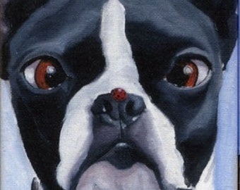 Boston Terrier with a Ladybug on His Nose Magnet, boston terrier gift for your space