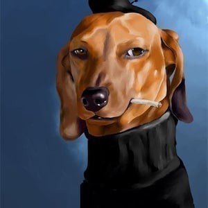 Sausage dog house clearance accessories