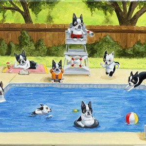 Boston Terrier Pool Party art print wall decor