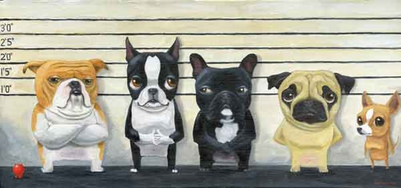 Boston terrier gift, The Line Up Boston Terrier dog art print, Boston terrier wall decor, pug, French bulldog art, dog art gift image 1