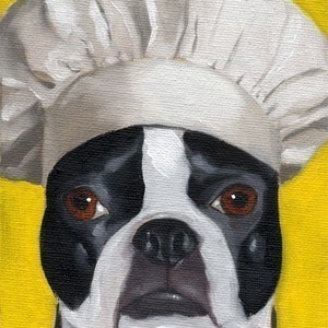 Boston Terrier wearing a chef's hat, Boston terrier chef, Boston terrier kitchen art, Boston terrier gift