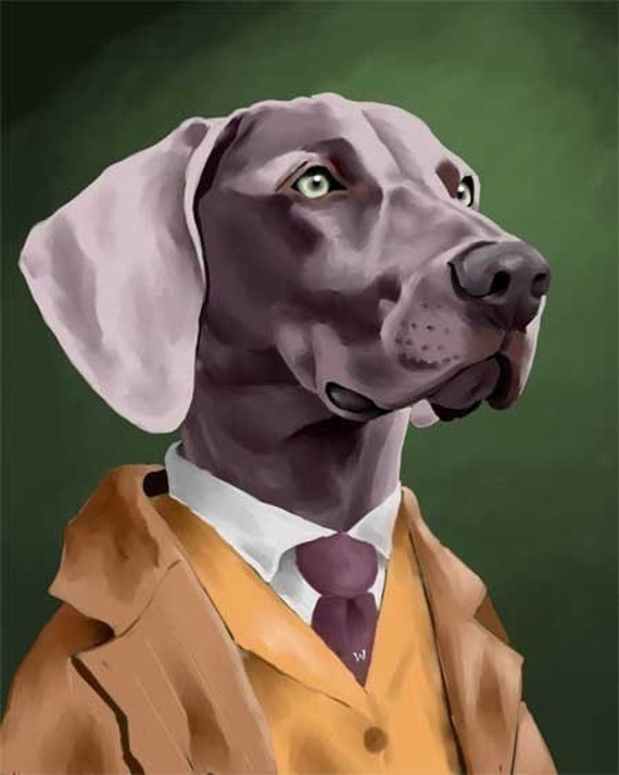 Well Dressed Weimaraner dog art print 