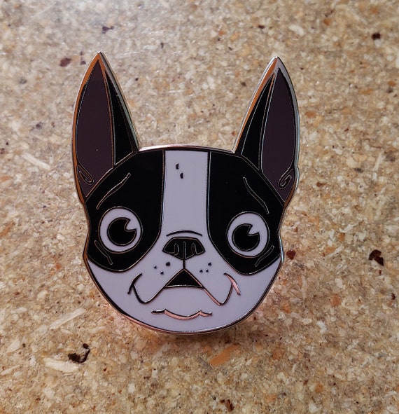 Buying a boston best sale terrier