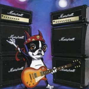 Boston Terrier Playing Guitar - Dog Art Magnet