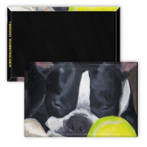 Może przedstawiać: Czarno-biały pies rasy Boston Terrier śpi z głową opartą o ż&oacute;łtą piłkę tenisową. Oczy psa są zamknięte, a pysk lekko otwarty. Sierść psa jest miękka i puszysta.