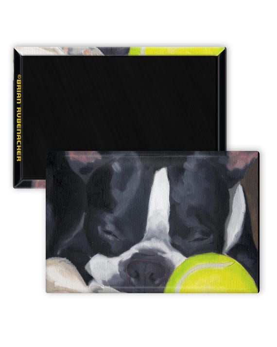 Boston terrier sleeping with a ball cute dog art magnet, boston terrier gift, boston terrier art magnet, dog with ball, sleeping boston