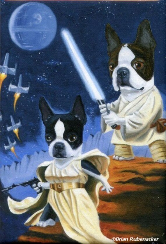 Boston terrier cheap products