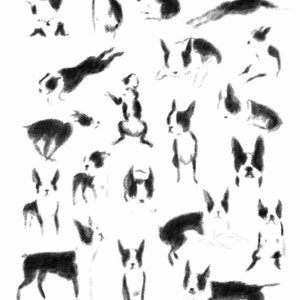 Boston terrier gift, boston terrier art, dog art gift, dog lover art print, boston terrier lover wall decor