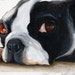 see more listings in the Dog prints A-C section