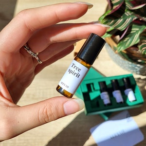 May include: A small brown glass bottle with a black cap and a white label that says "Tree spirit" and "ALXYMI".