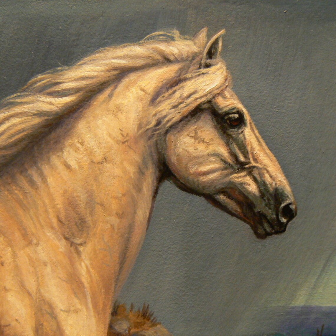 WILD HORSE Original Equine Art Oil 12x16 Painting by Kerry Etsy