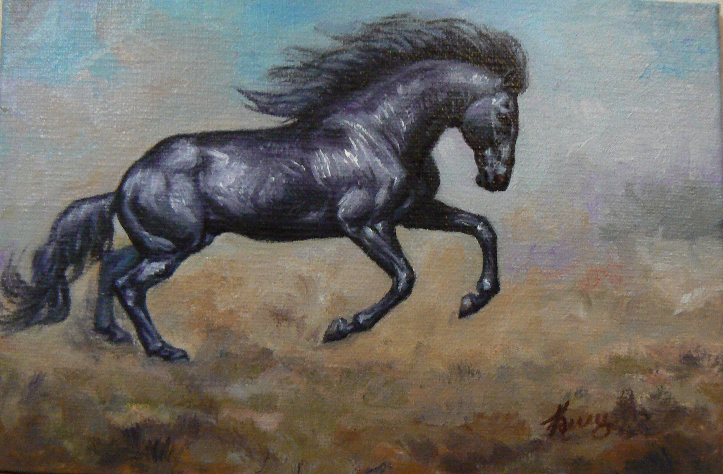 DARK horse wild black horses fine equine art 4x6 original Etsy