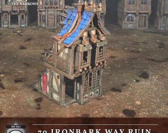 Hexengarde ruined house medieval fantasy terrain: 28mm 32mm Scale, D&D, Wargaming