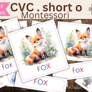 Carte Montessori a 3 Parti per Parole CVC - Set di Apprendimento del Suono Breve "o", Risorsa stampabile Montessori, Imparare l'inglese