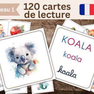 Cartas de leitura Montessori em francês, jogo fonético, associação palavra-imagem, aprender a ler, PDF educativo