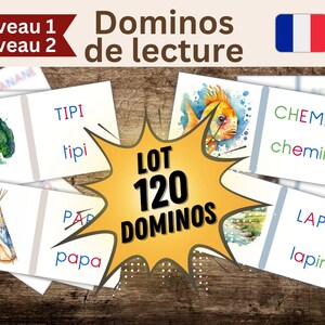 Lot de 2 Jeux de Dominos Montessori en français - Lecture en Français Niveau 1 et 2 - Apprentissage Syllabique et Mots Illustrés à Imprimer
